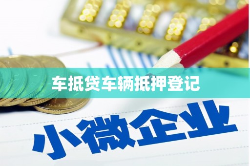 杨梅车抵贷车辆抵押登记