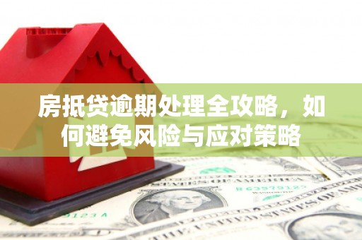 南涧房抵贷逾期处理全攻略，如何避免风险与应对策略
