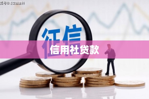 靖州信用社贷款