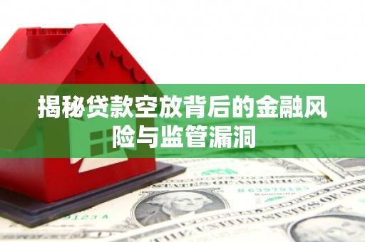屯留揭秘贷款空放背后的金融风险与监管漏洞